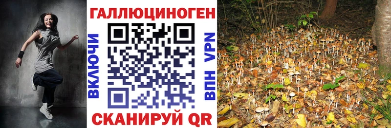 hydra ссылки  Белый  Псилоцибиновые грибы Magic Shrooms 
